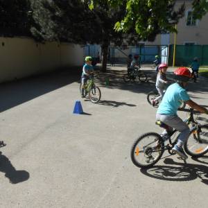 mali-soncek\1_3768_original